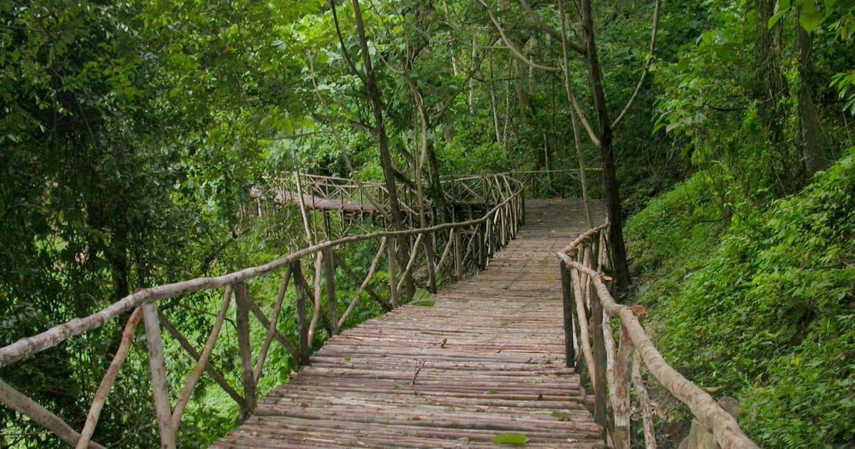 Outdoor walkway at Belum Rainforest Resort, Perak, Malaysia