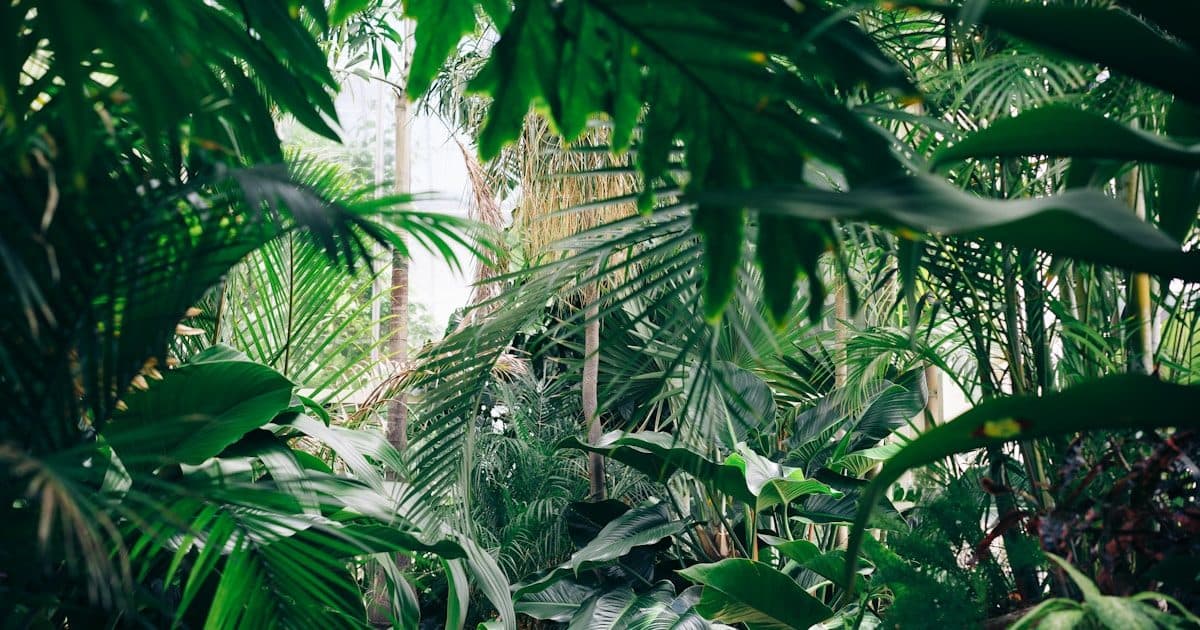 Malaysia Nature Guide