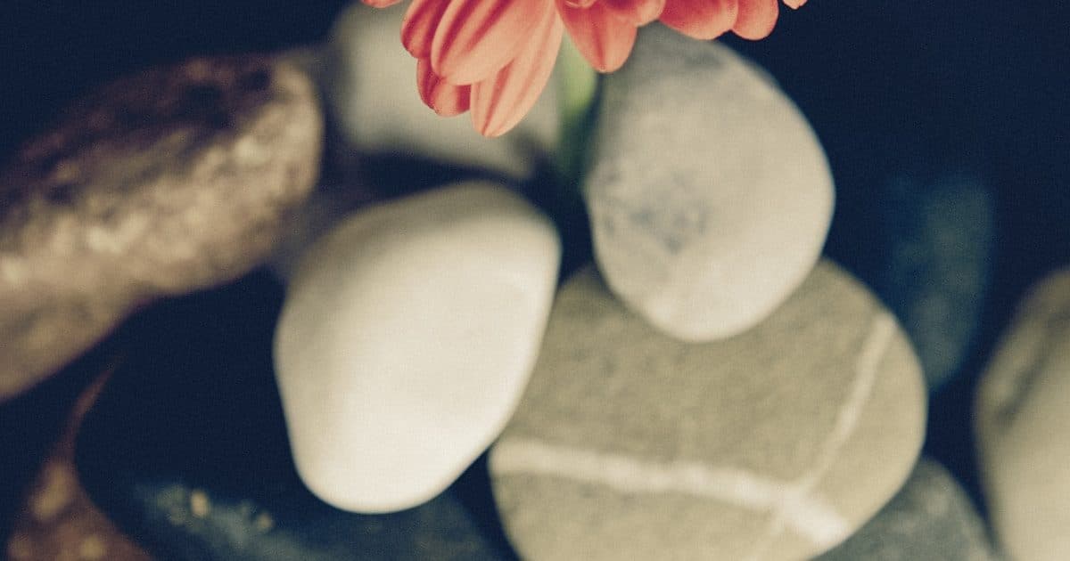 Malaysia Wellness Guide